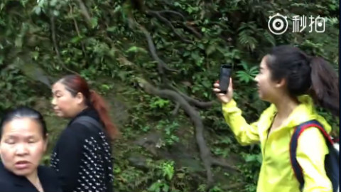美女给猴子拍照 手机遭猴子抢走
